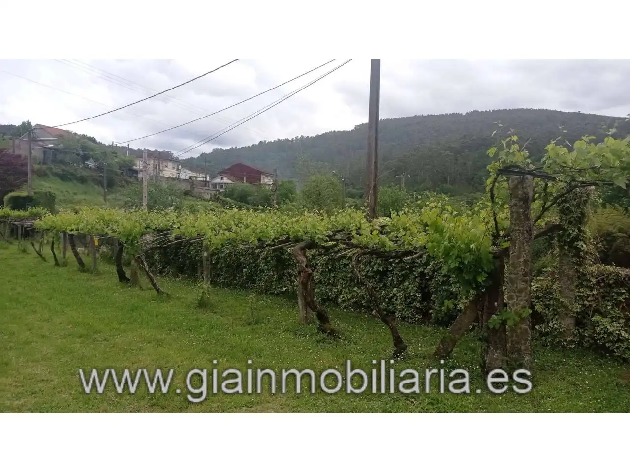 Country house zum Verkauf in Mondariz-Balneario