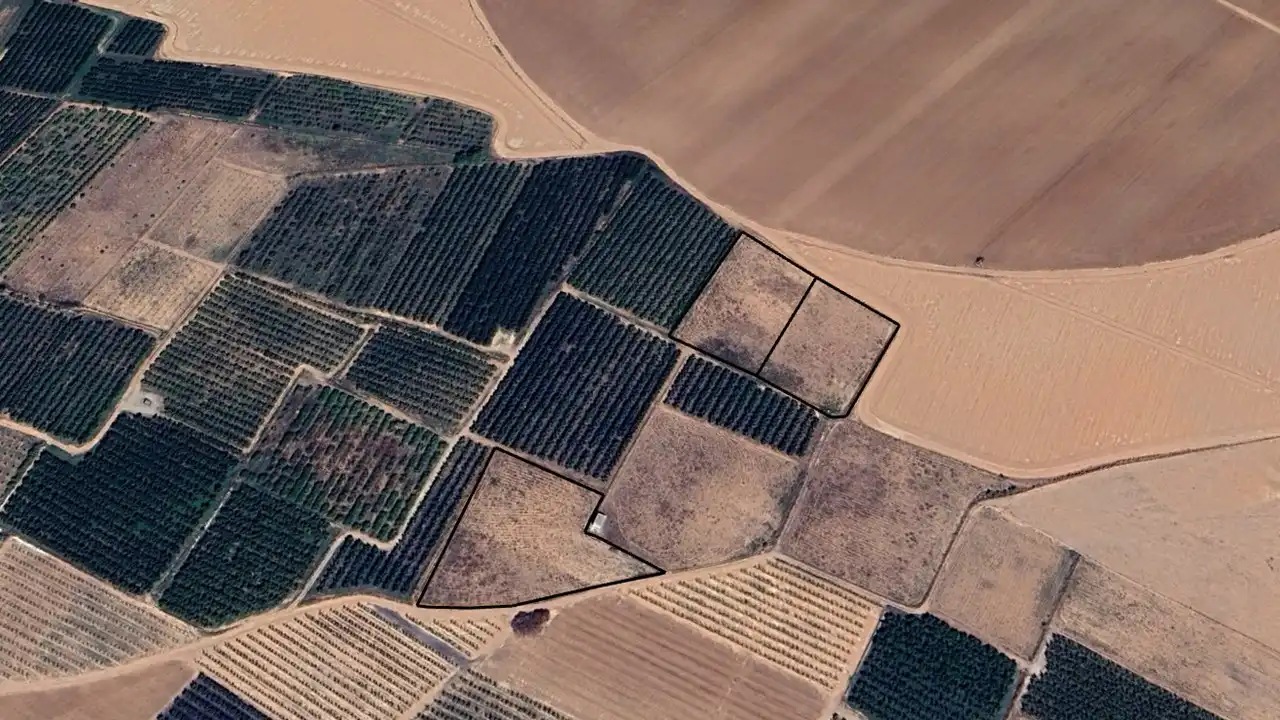 Terreni e lotti in vendita a C/ Partida Botiguero Pol. 2 y 12, imagen 6