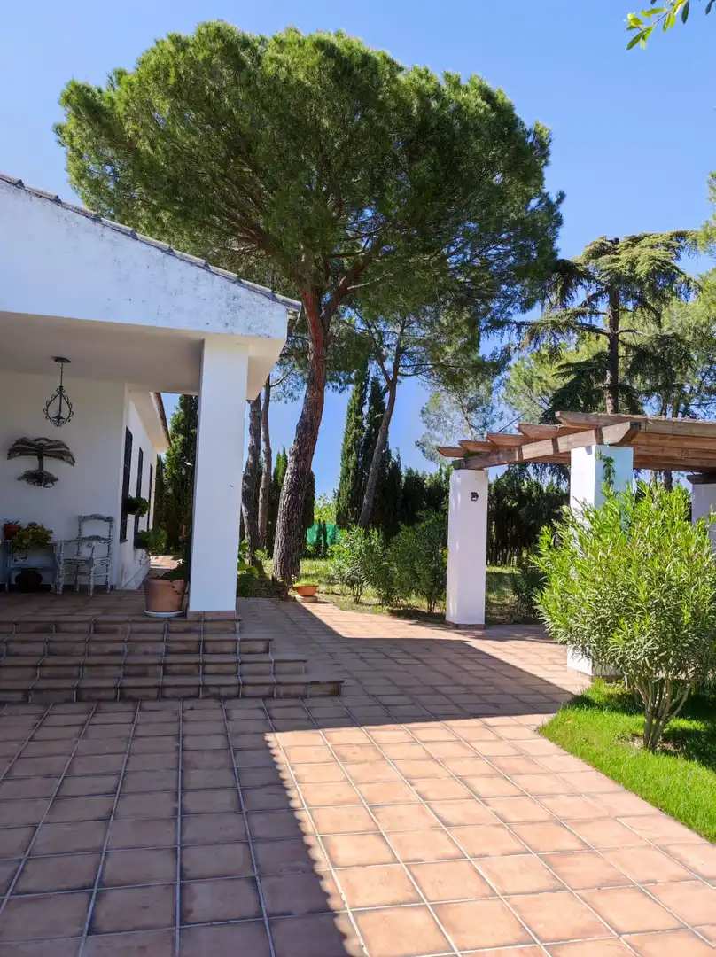 Jardín de Casa o chalet en venta en Ciudad Real con Aire acondicionado, Calefacción y Jardín privado