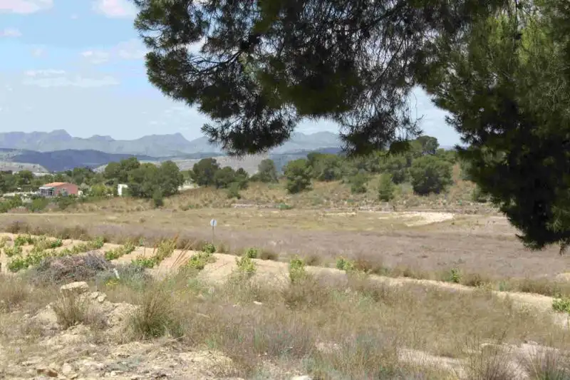 Villa avec jardin à vendre à Fortuna, imagen 54