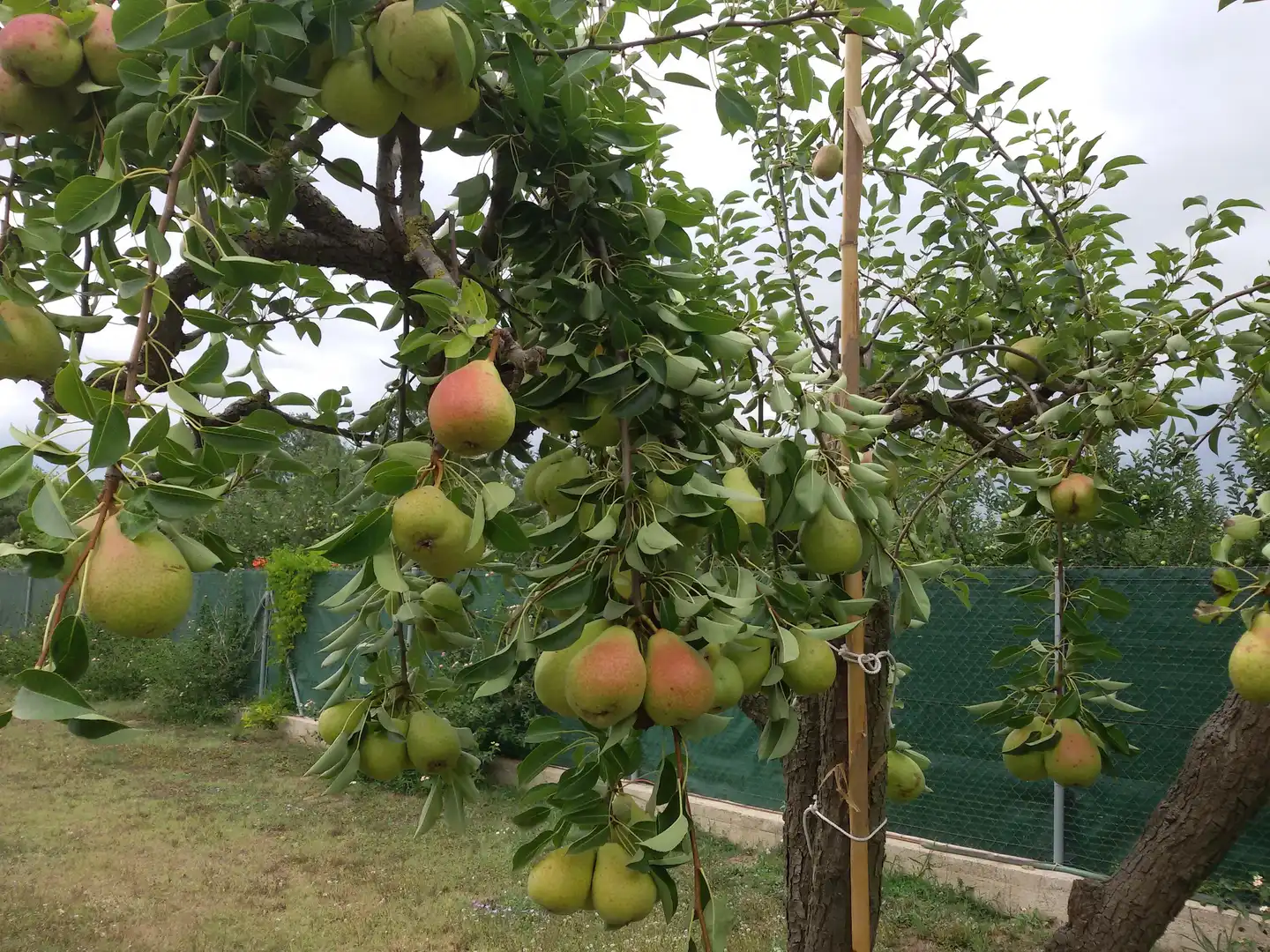 Terrenys i solars en venda a Ullà, imagen 11
