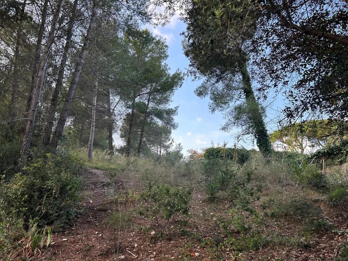 Rustikales Grundstück zum Verkauf in CAN FELIU, imagen 16