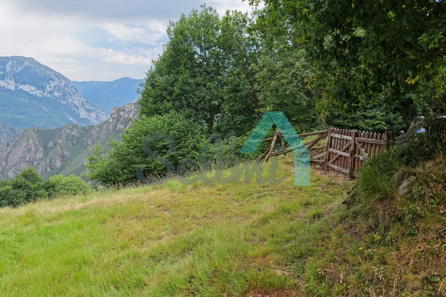 Land for sale in Proaza