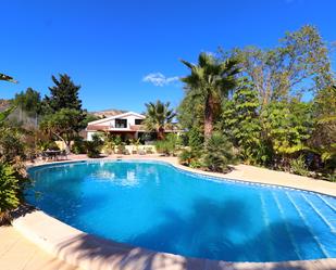 Swimming pool of Country house for sale in Aspe