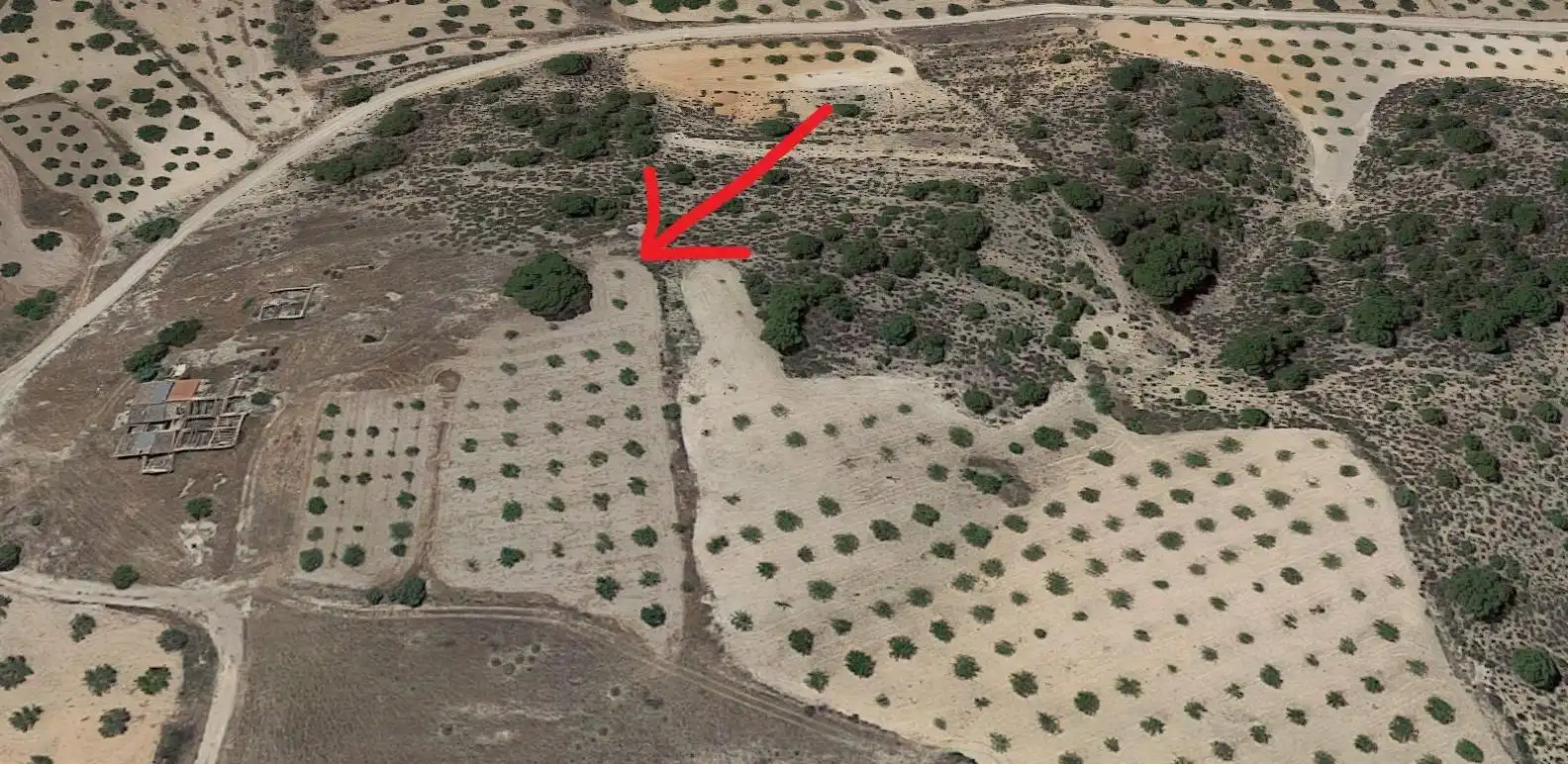 Rural land for sale in Jumilla, imagen 2
