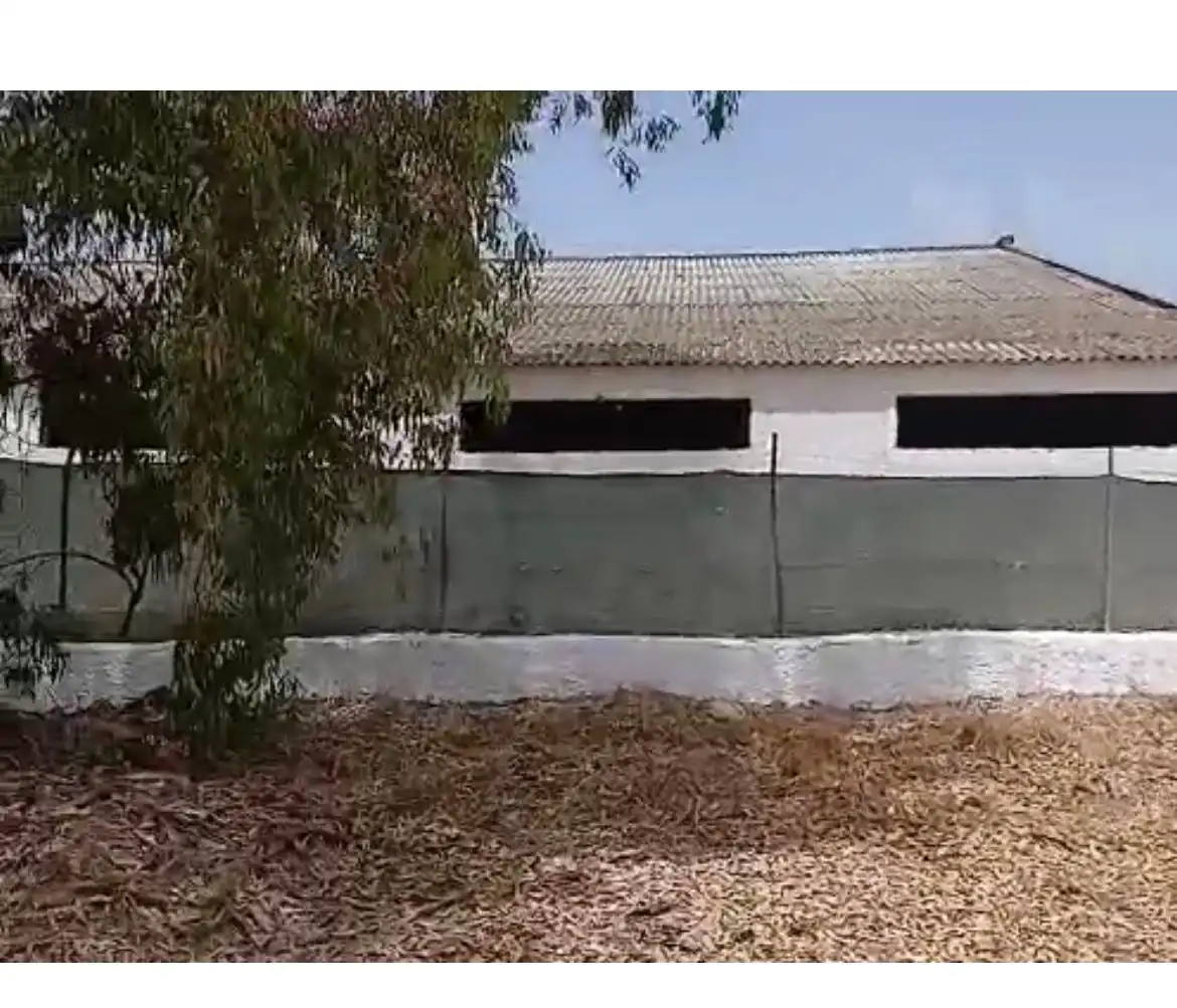 Rural land for sale in Carretera la puebla del rio a guadalcanal km 8,5, imagen 5