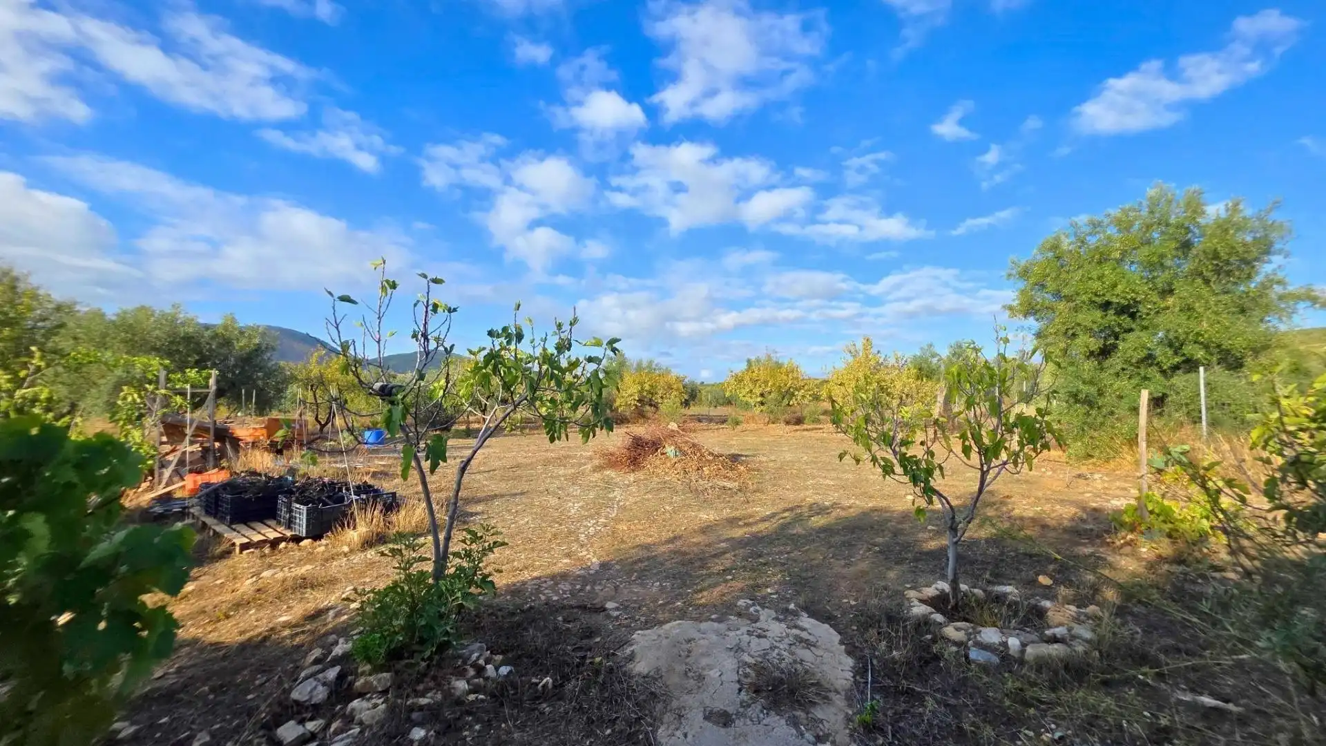 Casa o xalet en venda en Laujar de Andarax, Almería