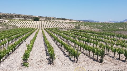 Foto 4 de Casa o xalet en venda a Paraje la Alberquilla, Jumilla, Murcia