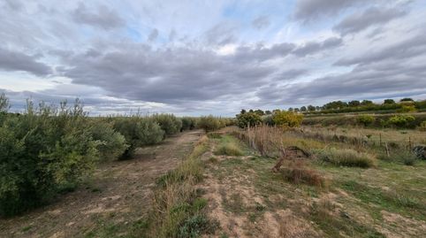 Foto 5 de Casa o xalet en venda a Agullent, Valencia