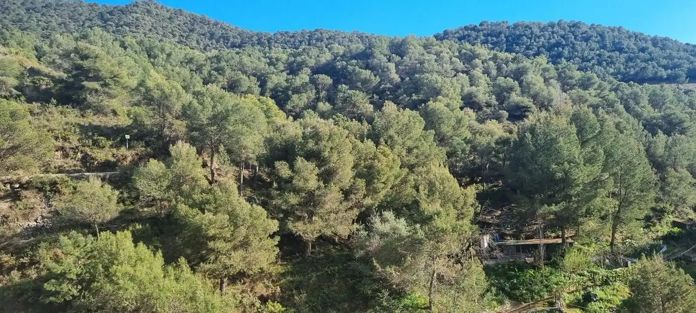 Detached homes for sale in Cómpeta  with Terrace and Swimming Pool