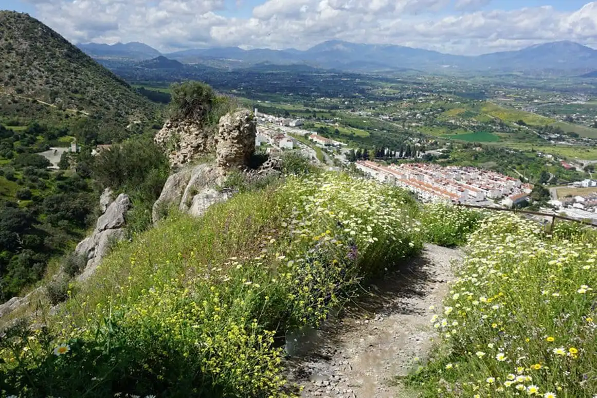 Jardín de Casa o chalet en venta en Cártama con Calefacción, Terraza y Trastero