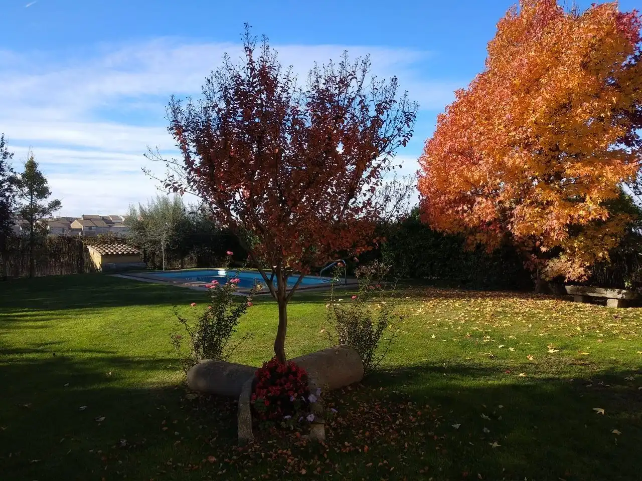 Jardí de Casa o xalet en venda en Vilanova de Bellpuig amb Calefacció, Jardí privat i Piscina