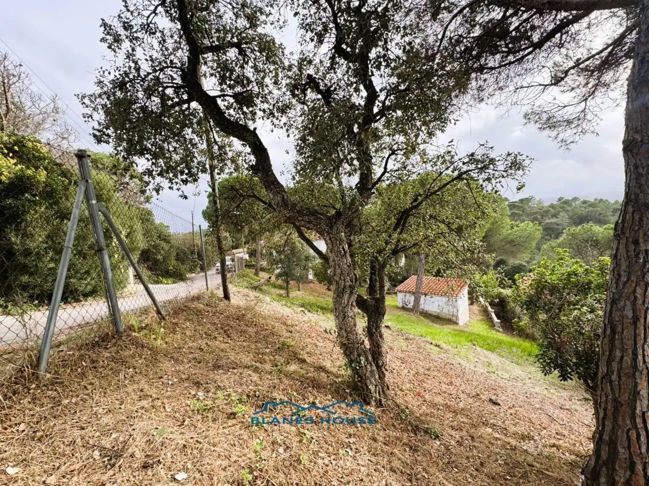 Vista exterior de Casa o xalet en venda en Tordera amb Aire condicionat, Jardí privat i Terrassa
