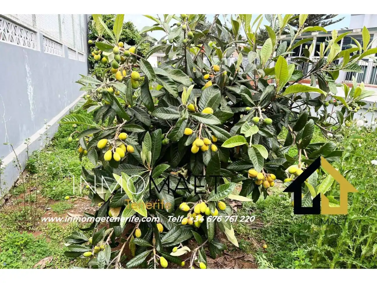 Jardí de Casa o xalet en venda en Tacoronte amb Calefacció, Jardí privat i Terrassa