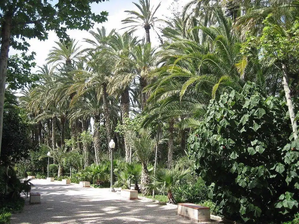Vista exterior de Pis en venda en Elche / Elx amb Aire condicionat