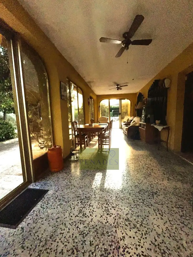 Vista exterior de Casa o chalet en venta en El Pilar 