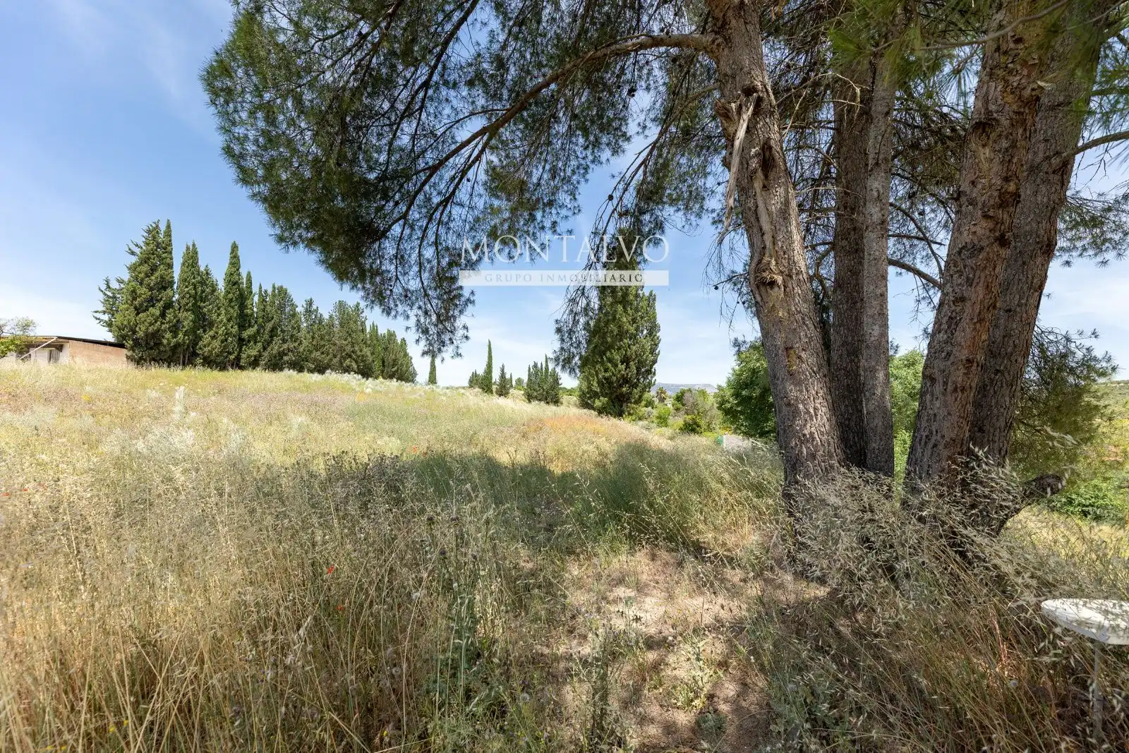 Land for sale in Pinos Puente
