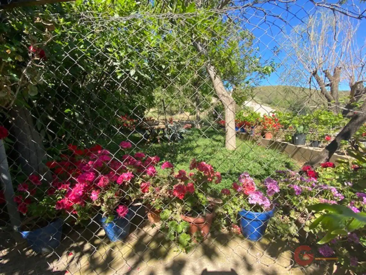 Finca rústica en venta en Lanjarón