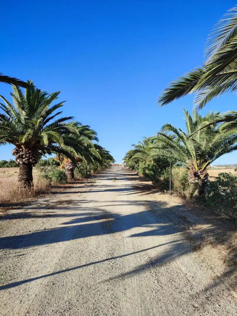 Terreno residencial en venta en Arcos de la Frontera, imagen 28