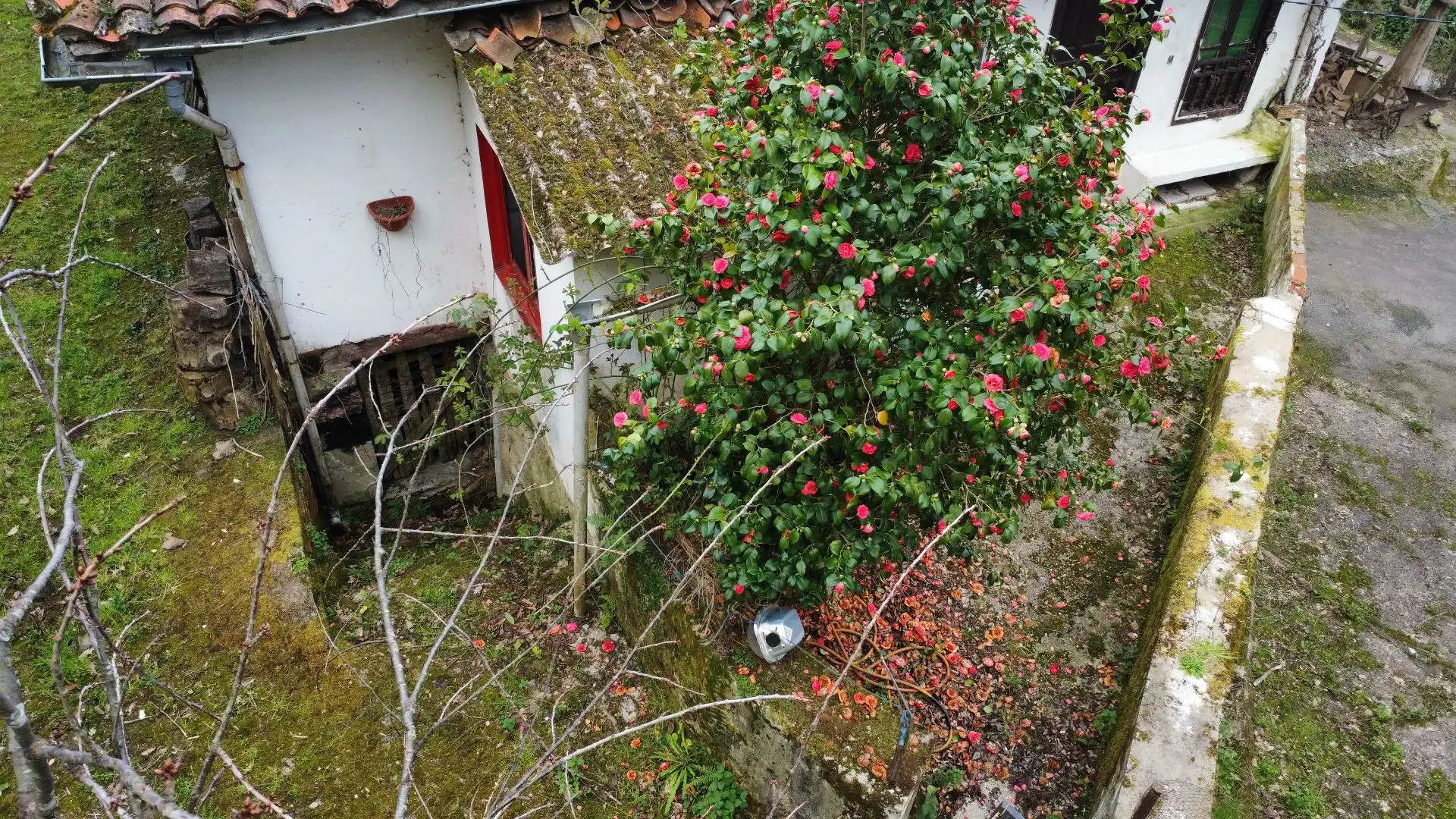 Jardín de Casa o chalet en venta en Llanes con Jardín privado y Terraza