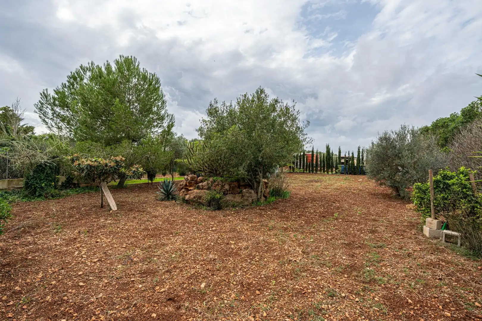 Terreno rustico in vendita a Camino SO N´AMORA NOU, imagen 24