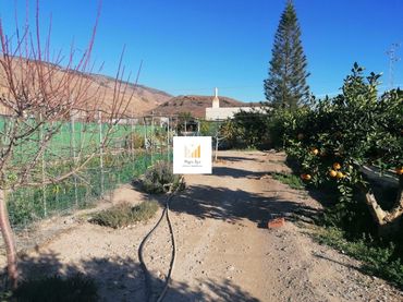 Casa rustica con giardino in vendita a Dalías