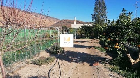 Cortijo con terreno