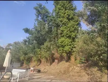 Casa o xalet en venda en Jaén