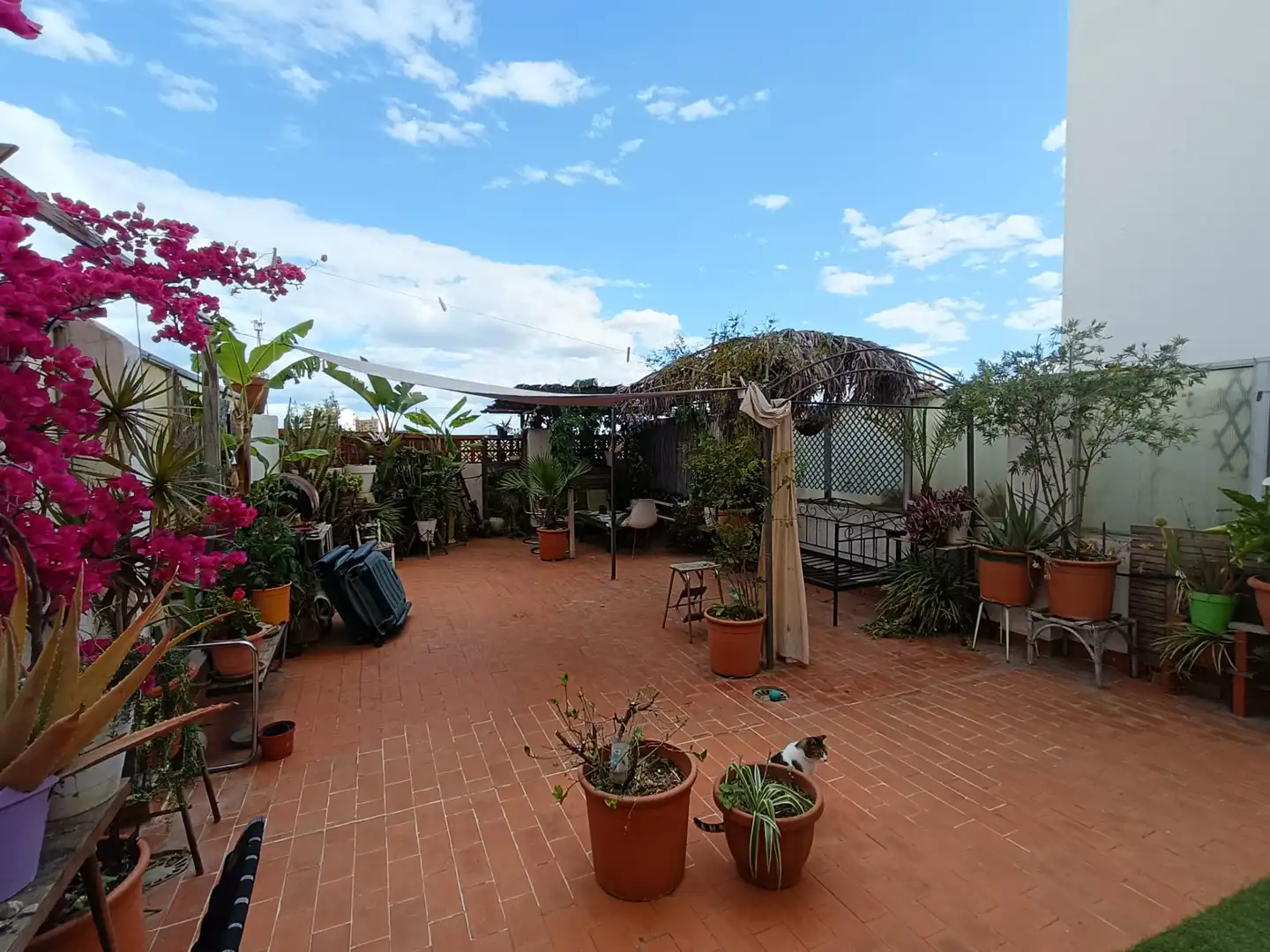 Terrassa de Pis en venda en Valencia amb Aire condicionat, Calefacció i Terrassa