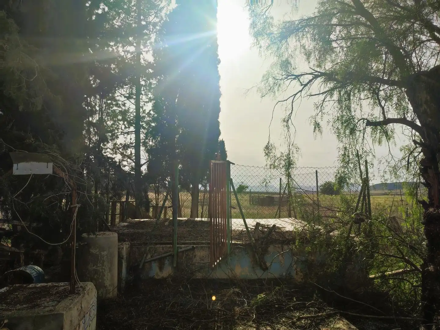 Casa rústica amb jardí en venda a Jumilla, imagen 18