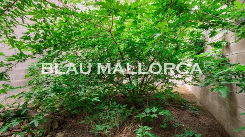 Photo 4 of Single-family semi-detached for sale in Manacor Centre, Manacor