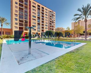 Swimming pool of Flat to rent in Alicante / Alacant  with Air Conditioner, Private garden and Terrace