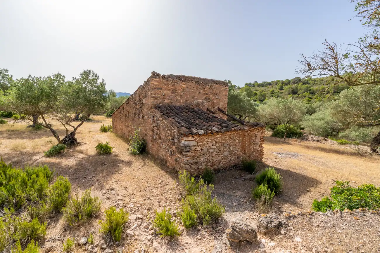 Vista exterior de Terreno en venta en El Perelló