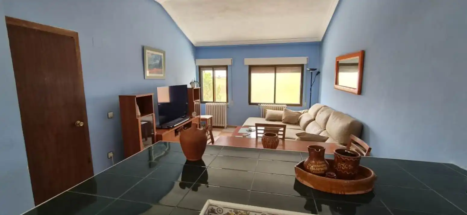 Wohnzimmer von Haus oder Chalet zum Verkauf in Castellanos de Villiquera mit Heizung, Privatgarten und Terrasse
