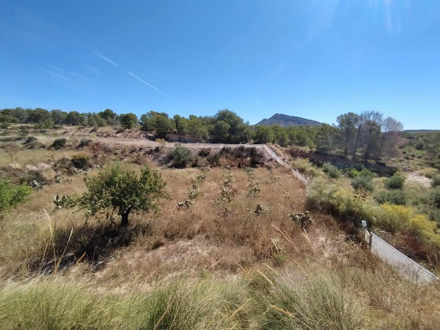 Casa o chalet en venta en Murcia con Trastero y Amueblado