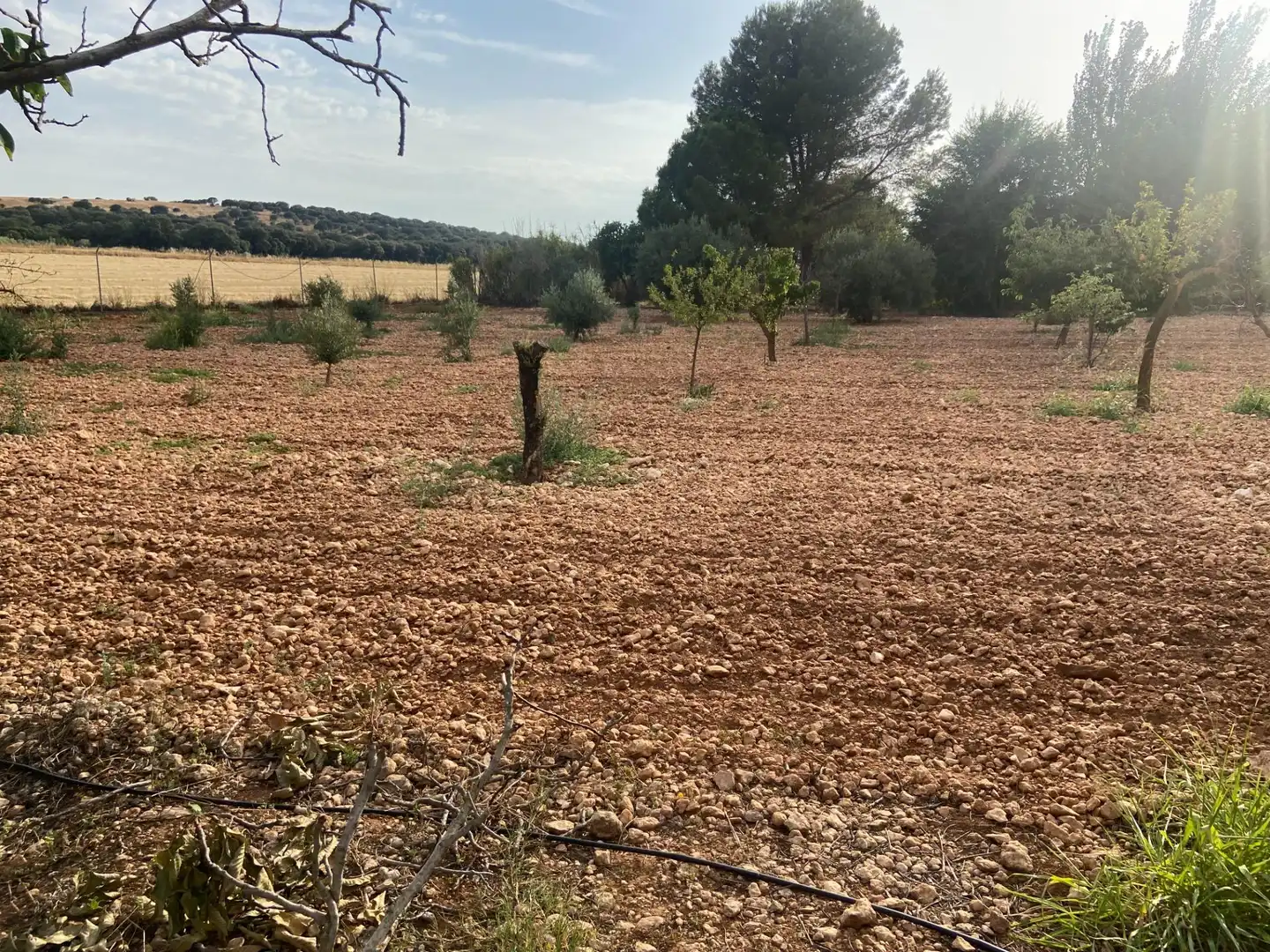Casa o chalet en venta en Ciudad Real con Aire acondicionado, Calefacción y Jardín privado