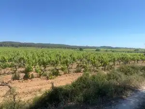 Terreno en venta en L'Arboç
