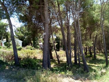Terreny residencial en venda a Carrer Sabadell 40