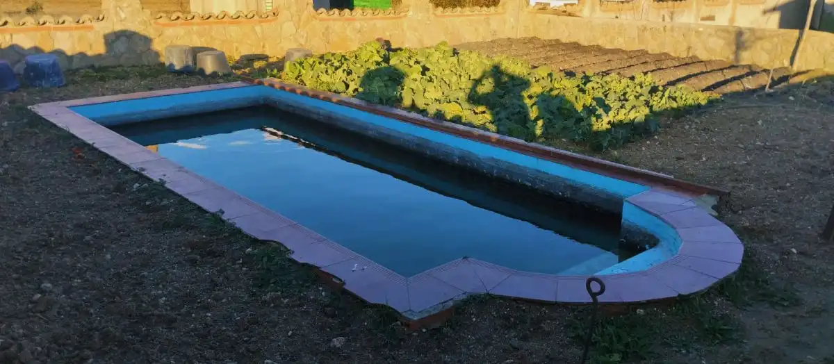 Piscina de Finca rústica en venda en Calvarrasa de Arriba