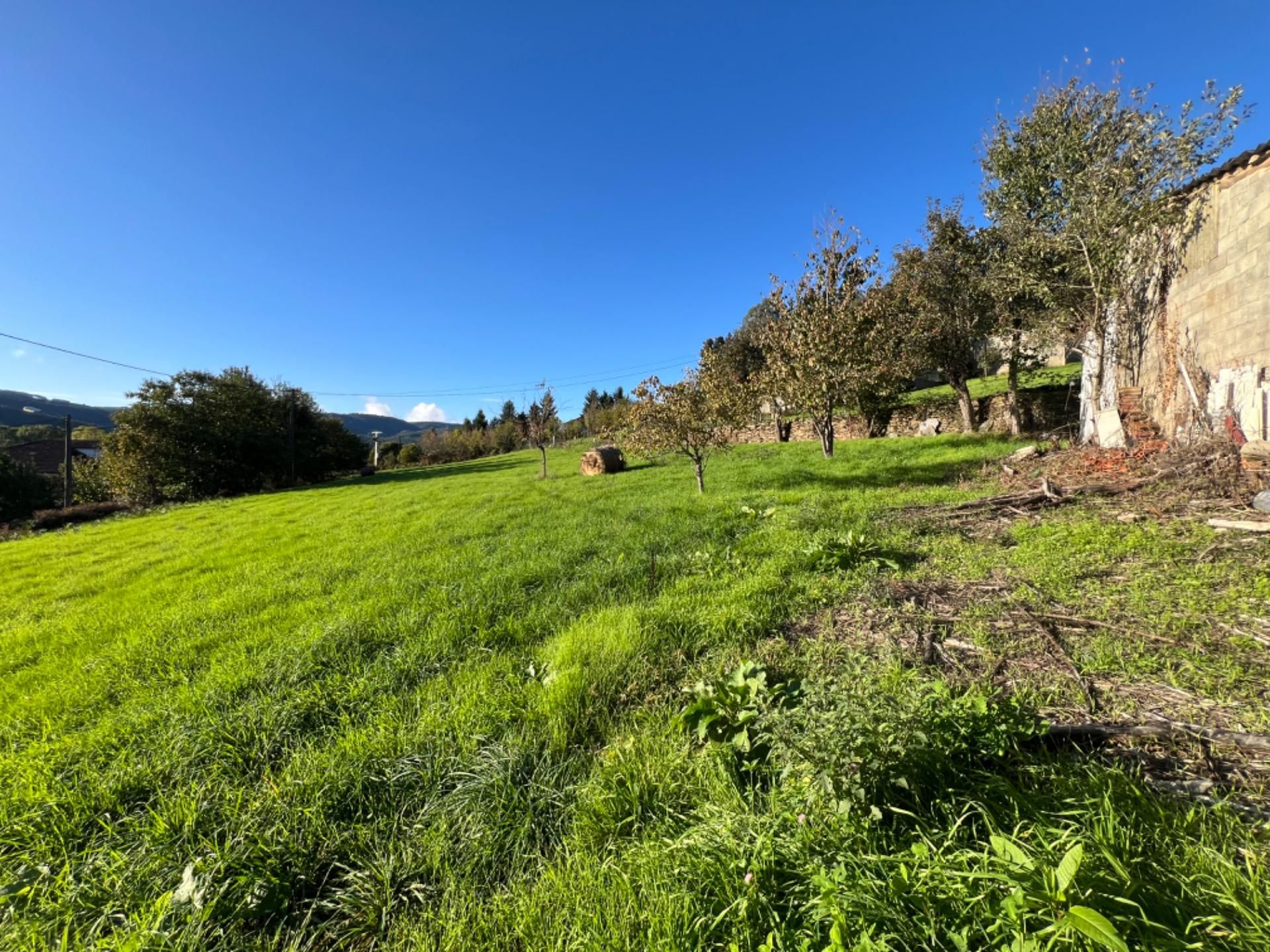 Casa o xalet en venda en Laza amb Calefacció i Jardí privat