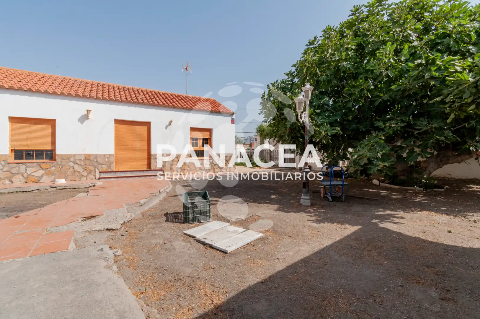 Vista exterior de Casa o xalet en venda en Pechina amb Jardí privat, Piscina i Moblat