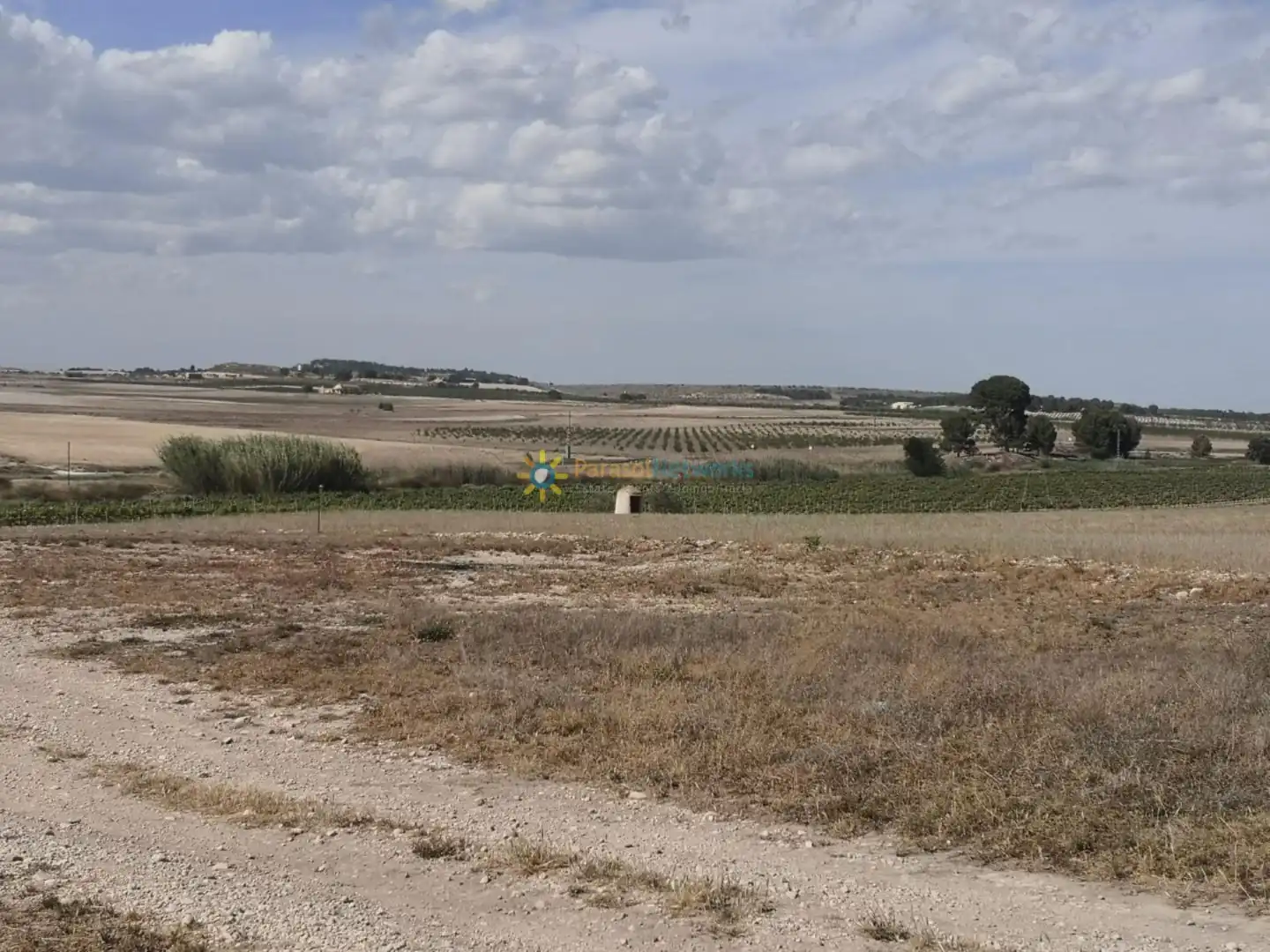 Finca rústica en venda en Villena amb Jardí privat i Traster