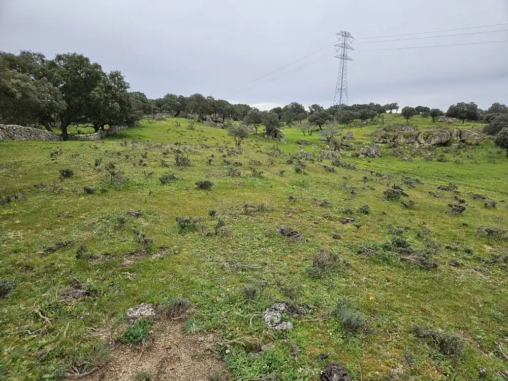 Terreni e lotti in vendita a Navas del Madroño, imagen 5