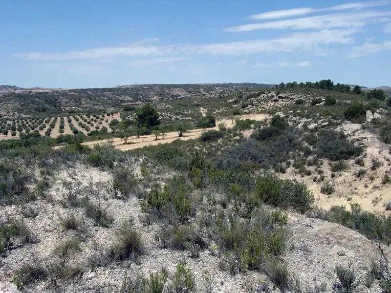 Finca rústica en venta en Alcañiz