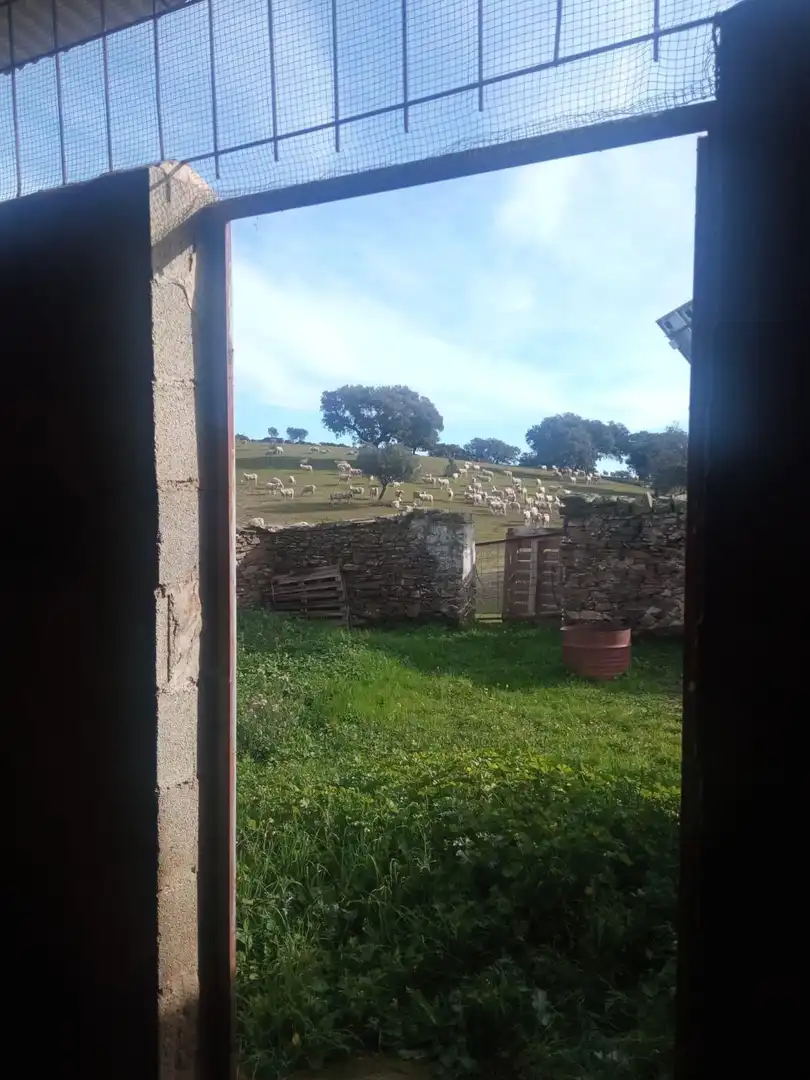 Finca rústica en venda en Cardeña