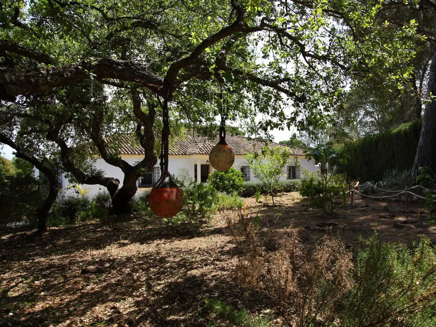 Jardí de Casa o xalet en venda en Vejer de la Frontera amb Aire condicionat i Piscina
