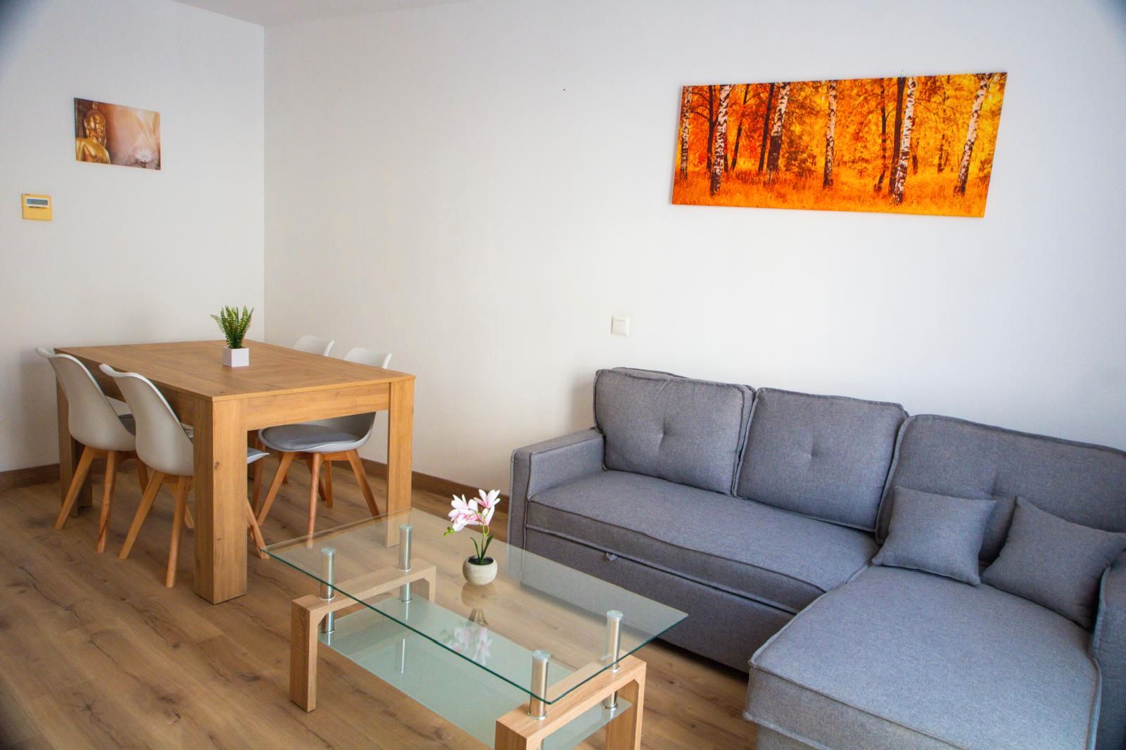 Living room of Flat to rent in  Granada Capital  with Air Conditioner, Furnished and Washing machine