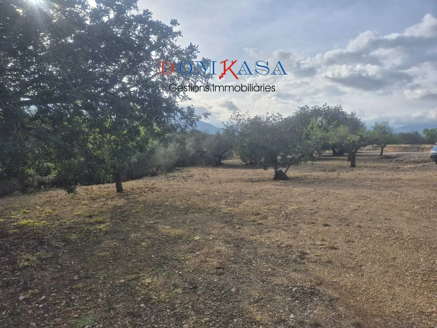 Terreno rustico in vendita a Jesús - Els Reguers