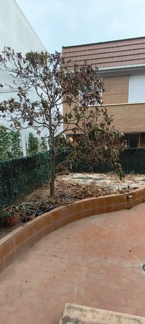 Jardí de Casa adosada en venda en Zaragoza amb Aire condicionat, Calefacció i Jardí privat
