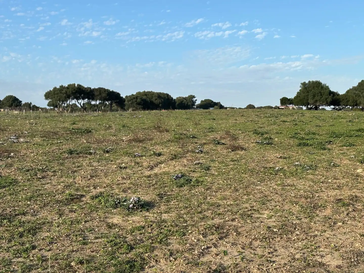 Terreni e lotti in vendita a Vejer, imagen 30